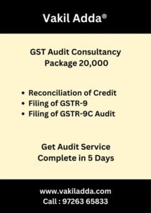 GST Audit CA Consultancy Package