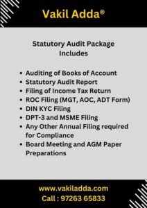 Statutory Audit CA Consultancy Package