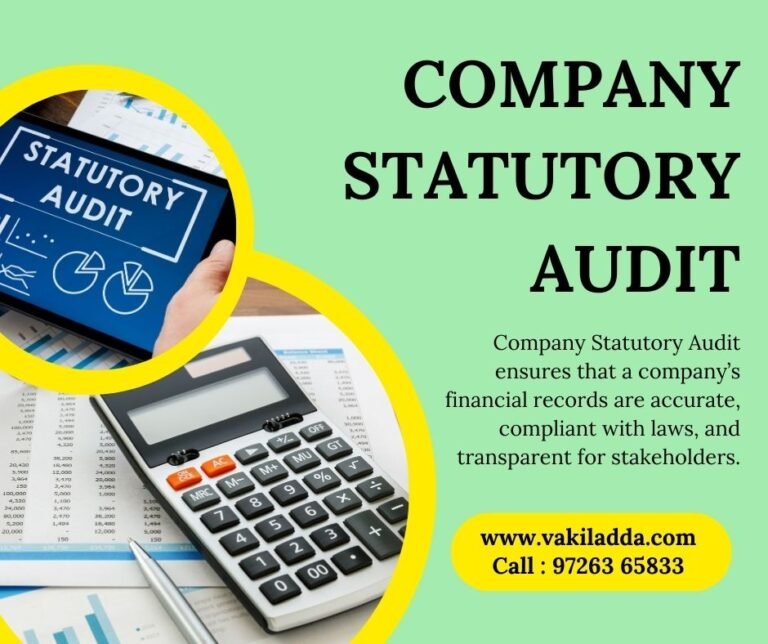 Company Statutory Audit