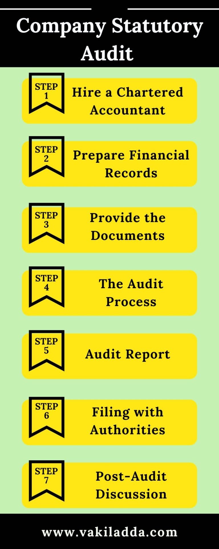 Process About Company Statutory Audit